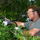 America's Tree Service