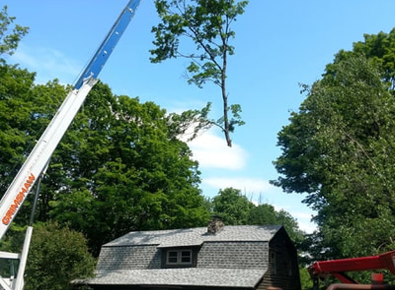 Anson Baldwin Tree Care LLC - Vernon, VT