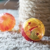 Prime Carpet Services gallery
