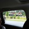 Walgreens gallery