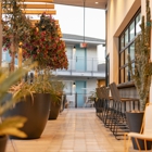 voco the Tuxon by IHG