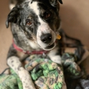 Urgent Care of Papillion - Pet Services