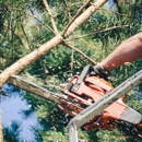 Rodriguez Bros Tree Service - Tree Service