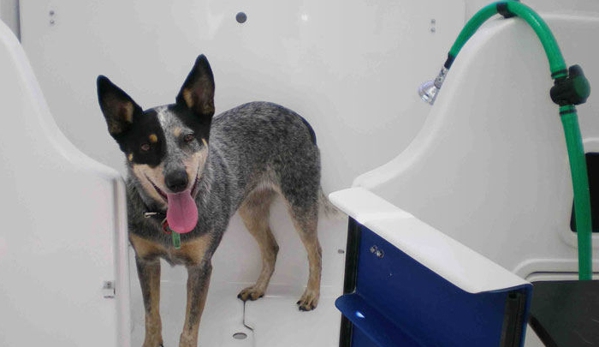 South Paw Dog Grooming - Pialba, QLD