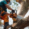 Arvada Tree Service gallery