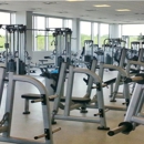 Dedicated Commercial Recoovery - Financing Consultants