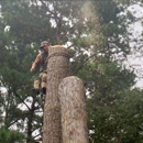 Mac's Tree Service Inc - Grading Contractors