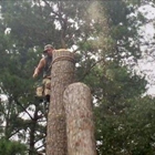 Mac's Tree Service Inc