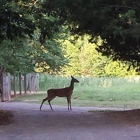 McDaniel Farm Park