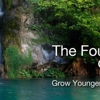 The Fountain of Youth Spa gallery