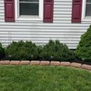 WD Outdoor Solutions - Landscaping & Lawn Services