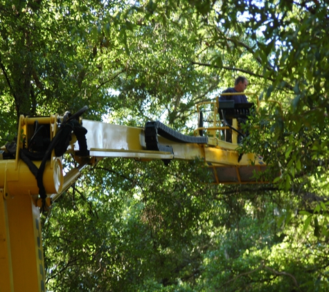 Affordable Tree Service - Deland, FL