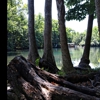 Easy Peasy Mobile Kayak Rental gallery