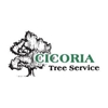 Cicoria Tree and Crane Service, Inc. gallery