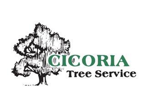 Cicoria Tree and Crane Service, Inc. - Beverly, MA
