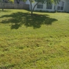 Economy Cut Lawn Care Inc. gallery
