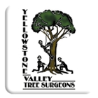 Yellowstone Valley Tree Surgeons