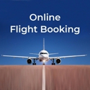 American Airlines - Airlines