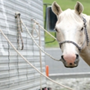 Ulysses Veterinary Hospital - Veterinarians