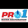 Pro 1 Water Restoration gallery