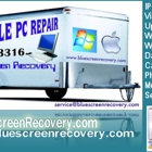 Blue Screen Recovery