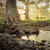 Gallery Image Number 6