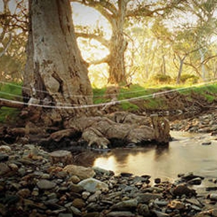 Pernod Ricard Winemakers - Macquarie Park, NSW
