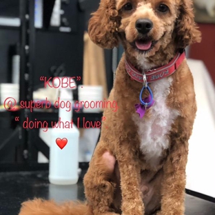 Superb Dog Grooming - Wheelers Hill, VIC. After