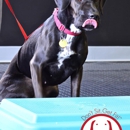 K 9 Fit Club - Clubs