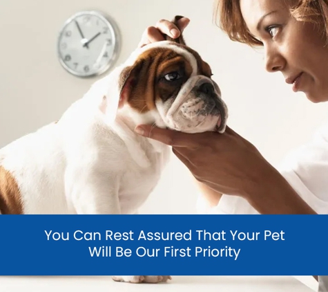 Ashcroft Veterinary Surgeons - Ashcroft, NSW. You Can Rest Assured That Your Pet Will Be Our First Priority