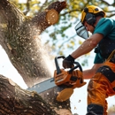 Best Tree Experts - Tree Service