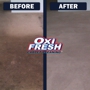 Oxi Fresh Carpet Cleaning