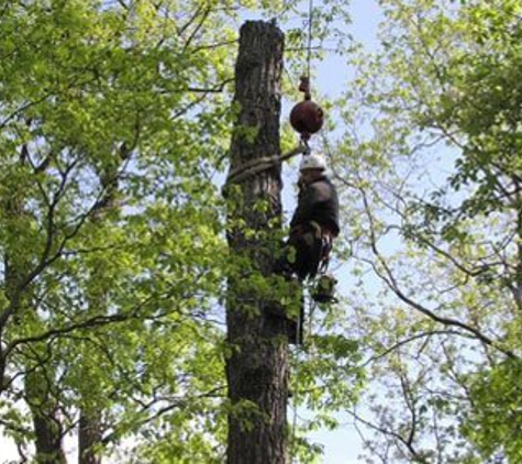 Crestview Tree Service, INC.