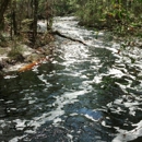 Falling Creek Falls - Parks