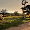 Roberts Horse Ranch gallery