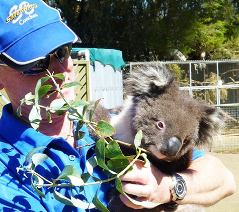 Simes Bros Coaches - South Lismore, NSW