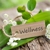 Massage & Kinesiology - Massage Therapy