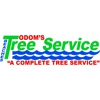 Odom's Beaches Tree Service gallery