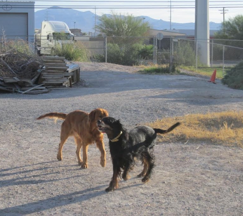 Chaparral Animal Spa - North Las Vegas, NV