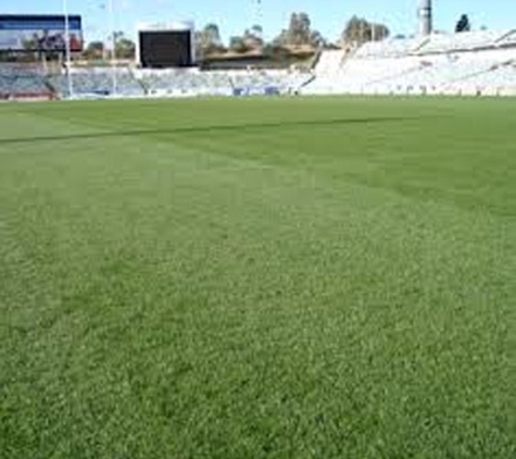Bundaberg Turf Supplies - Meadowvale, QLD