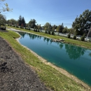 Lake Wizard LLC - Property Maintenance