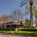 Karl Strauss Brewing Company - Bars