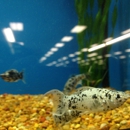 Petco - Pet Stores