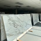 Dynamo Surfaces