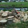 Precision Landscaping & Tree Service gallery