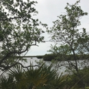 Upper Tampa Bay Park - Parks