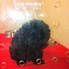 Pocket Puppies Boutique gallery