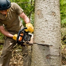 TREE CARE SERVICES - Stump Removal & Grinding