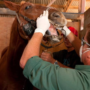 Allora Veterinary Clinic - Old Talgai, QLD