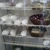 Fraboni’s Italian Specialties & Delicatessen Downtown gallery